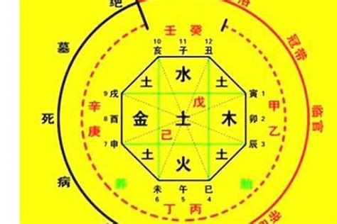 用神忌神計算|怎樣確定自己的八字喜用神